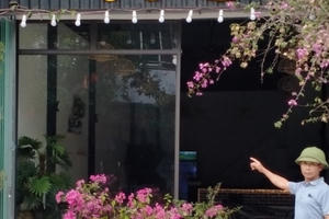 Thái Bình: Bị cáo vụ án gây rối trật tự công cộng ở Hưng Hà kêu oan