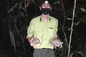 Thả nhiều động vật quý hiếm về Vườn Quốc gia Cát Tiên