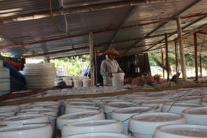 Quảng Ninh: Bài toán nào cho đầu ra của “vàng trắng” ?