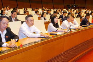 Năm bộ luật Quốc hội thông qua năm 2020 được quan tâm nhất