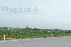 Dự án sân golf Sông Hồng: Không được xây dựng công trình vượt quá 5% diện tích bãi sông