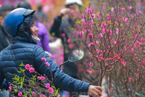 Miền Bắc đón Tết trong mưa rét