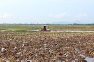 4 tỉnh được phép chuyển mục đích sử dụng đất