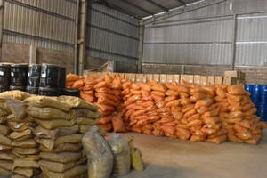 Bên trong kho nghi chứa “hóa chất”, “ngập ngụa” mùi thuốc sâu giữa khu dân cư