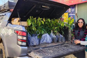 Tết ấm tình người