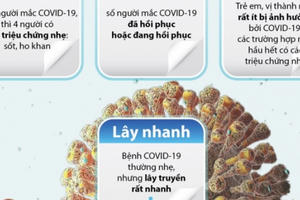 Những điều có thể bạn chưa biết về dịch bệnh COVID-19