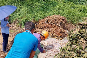 Tiêu hủy 300kg táo đỏ khô kẹp sữa hạt điều không rõ nguồn gốc