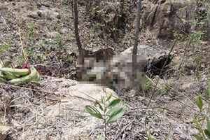 Phát hiện thi thể một người đàn ông đã phân huỷ trên núi Dinh