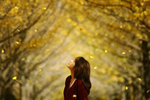 Có mối tình đi qua mùa thu