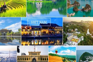 Lượng tìm kiếm về du lịch Việt Nam trên Google tăng vọt