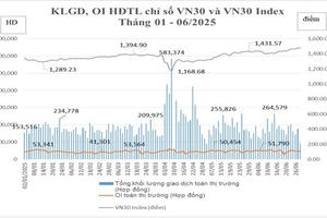 Thị trường chứng khoán phái sinh tháng 7/2025: Khối lượng hợp đồng mở cao nhất từ đầu năm