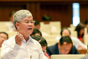 Giàu khủng từ nuôi lợn, buôn chổi đót: "Tôi không tin..."