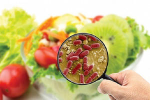 Hơn 3.500 người bị ngộ độc thực phẩm trong 10 tháng đầu năm