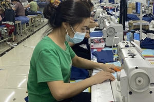 Chậm đóng tiền BHXH, BHYT Công ty TNHH Thống Nhất bị xử phạt