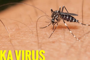 Đồng Nai ghi nhận ca nhiễm Zika thứ 7