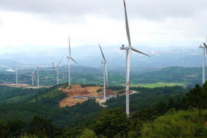 Điện gió đạt 85% công suất lắp đặt nhờ… gió mùa Đông Bắc