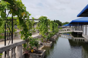 Liên tục bị huyện Vĩnh Thuận "rải đinh", doanh nghiệp kêu UBND tỉnh Kiên Giang cứu?