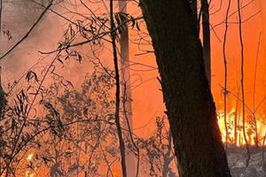 Dập tắt đám cháy rừng tại núi Sơn Đào