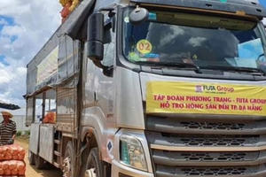 Đà Nẵng: Lên kế hoạch phân bổ 1.000 tấn rau củ, quả cho các quận huyện