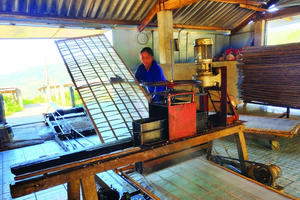 Miến dong Cao Bằng vươn tầm xuất khẩu, nông dân bội thu trăm triệu