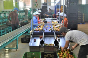 Công ty Hội Vũ bị phạt nặng do vi phạm lĩnh vực bảo vệ môi trường