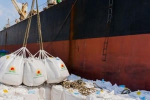 Hội nhập & Phát triển