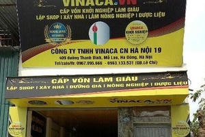 Vinaca từng nhận giải thưởng top 10 thương hiệu hàng đầu Việt Nam