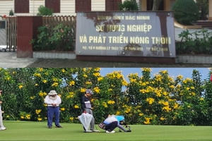 Giám đốc sở đi chơi golf trong giờ hành chính: Phó Thủ tướng yêu cầu xử lý nghiêm nếu có vi phạm