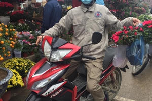 Lào Cai: Lan, đào, quất "phô diễn" tại chợ biên giới với giá rẻ bất ngờ!