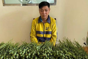 Nam thanh niên "ung dung bán quả anh túc" trước cổng trường Đại học