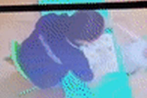 Công an vào cuộc vụ bé gái 2 tuổi ở Hà Nội bị cô giáo đánh liên tiếp vào đầu Công an vào cuộc vụ bé gái 2 tuổi ở Hà Nội bị cô giáo đánh liên tiếp vào đầu