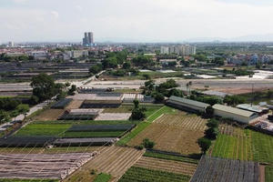 Giao 96.556m2 đất tại phường Tây Tựu cho UBND quận Bắc Từ Liêm để xây dựng hạ tầng kỹ thuật