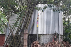 Cả làng quây tôn, dựng chốt bảo vệ cây sưa cổ 22 tỷ