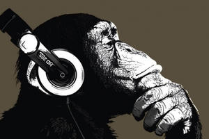 Bất ngờ trước khả năng cảm thụ âm nhạc của tinh tinh