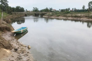 Lo lắng bởi tin cá sấu bơi trên sông Cầu Đông