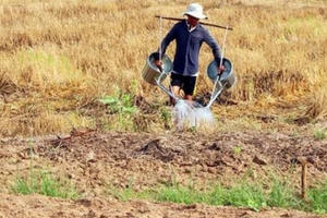 Cơ chế hỗ trợ ngân sách khắc phục hậu quả hạn hán, xâm nhập mặn