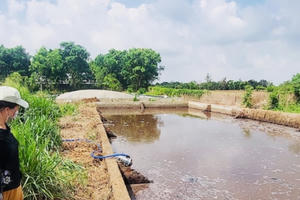 Đề nghị dừng hợp đồng đối với các trang trại chưa đảm bảo về môi trường