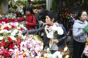 Chợ hoa phố cổ Hà Nội nhộn nhịp đón Tết