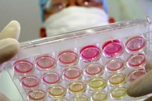 Nghiên cứu của Mỹ, Anh có thể “giải oan” nguồn gốc COVID-19 ở Vũ Hán