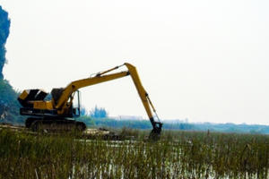 Khu du lịch sinh thái Vân Long sẵn sàng đón "King Kong"