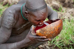 Rùng mình với bộ tộc uống tiết bò tươi để tăng cường sinh lực