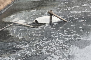 Phú Thọ: Trại lợn "hành" dân nhiều năm, UBND xã Ngọc Lập chỉ biết... báo cáo?