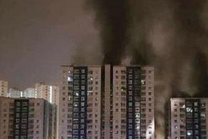 Cuộc sống cần sự bình yên, ổn định