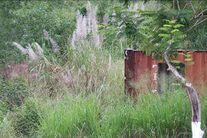 Phát hiện thi thể bên trong container bỏ hoang dưới chân núi tại Thành phố Nha Trang