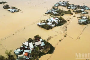 Bộ Xây dựng gấp rút tìm nhà mẫu chống lũ phù hợp tập quán miền Trung