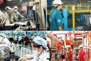 Giải quyết dứt điểm tình trạng đầu tư dàn trải, ngoài ngành