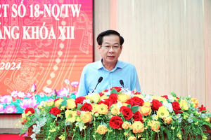 Kiên Giang: Đảm bảo tính tổng thể, đồng bộ trong sắp xếp, tinh gọn bộ máy