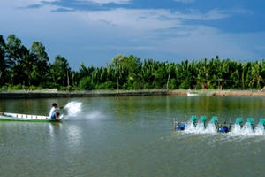 Tổng Cục Thuỷ sản xử phạt 5 cơ sở sản xuất ương dưỡng thuỷ sản