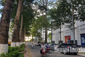 Kiến nghị kiểm điểm chủ tịch UBND TP Trà Vinh