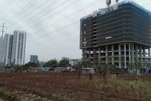 Các Bộ yêu cầu công khai thông tin về quy hoạch, chấn chỉnh không để tình trạng sốt đất